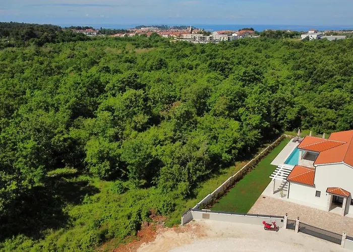 New! Luxury Carlotte With 11m Pool * Porec